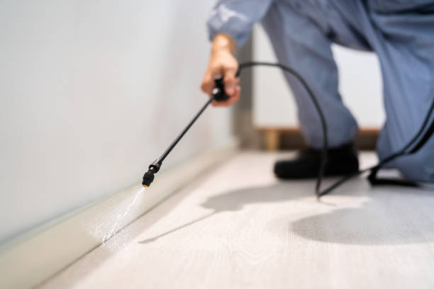 Licensed Termite Control service in Sweeny, TX - Show Me Pest Control